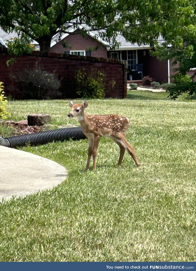 I have a visitor!