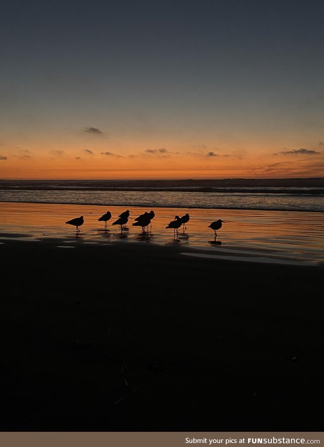 A pic I took walking with my wife on the beach