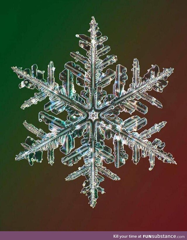 A high resolution photo a snowflake