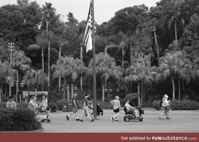 Disney World flag at half mast, after three children were murdered at school