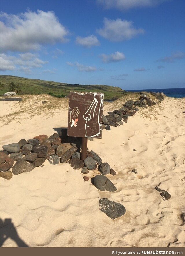 No slapping the Moai!