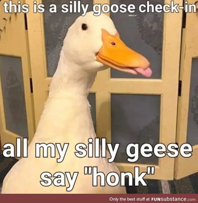 Honk!