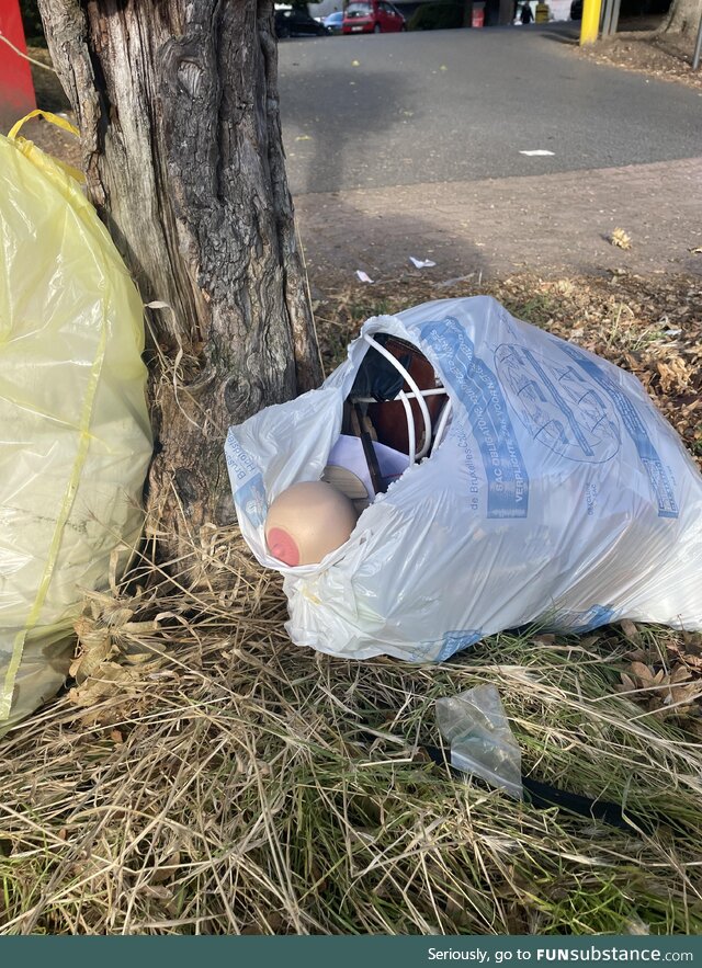 Tit recycling day in Brussels