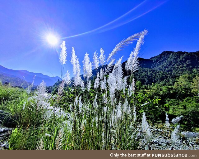 Green fields and blue skies. The perfect hike