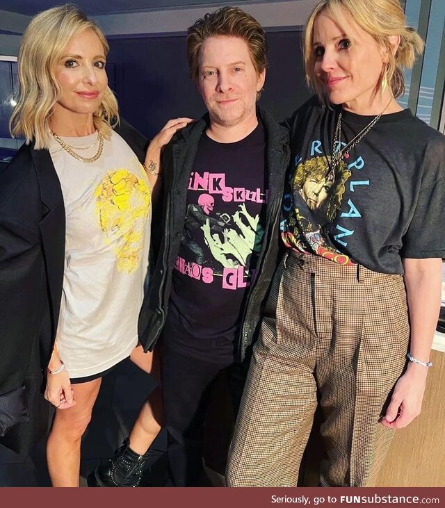 Sarah Michelle Gellar, Seth Green and Emma Caulfield at an Ed Sheeran concert (Buffy