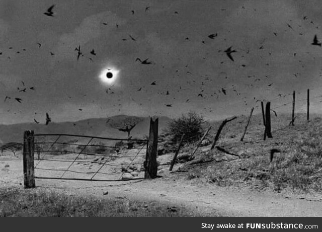 An image of the 1991 solar eclipse taken by photographer Antonio Turok in Chiapas, Mexico