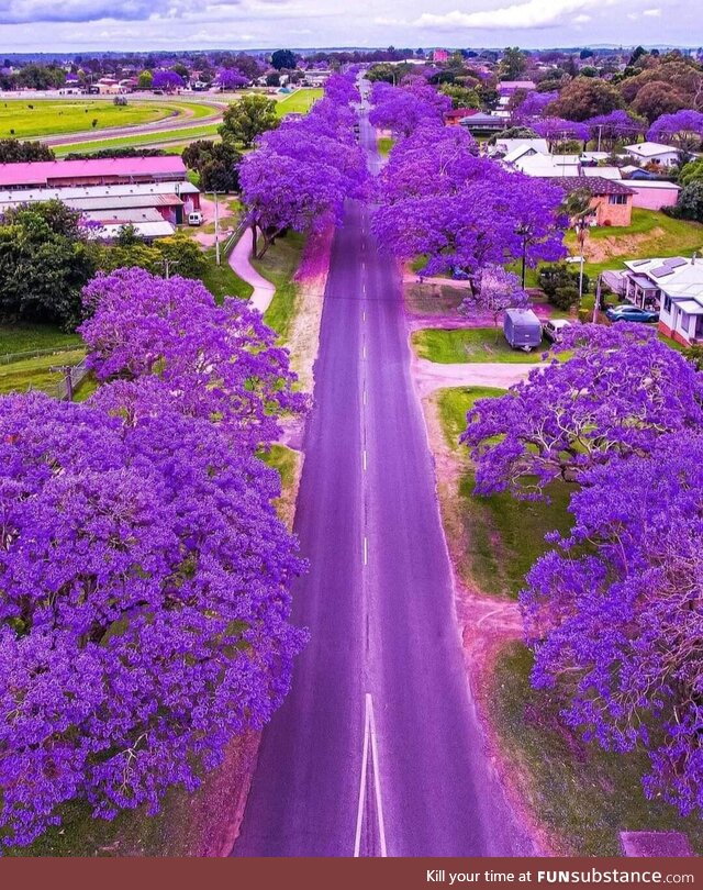 Grafton, australia