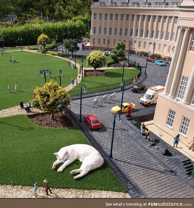 Cat napping in a model village