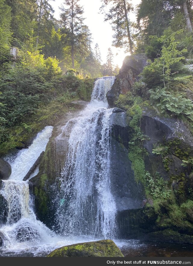 Black forest, germany