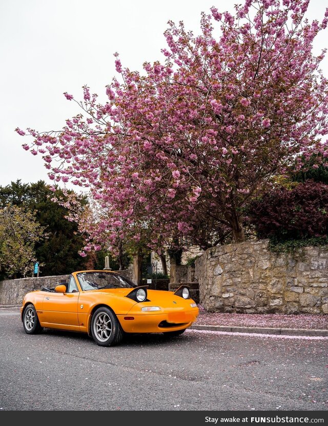 [OC] My 89’ MK1 MX5 that I picked up yesterday