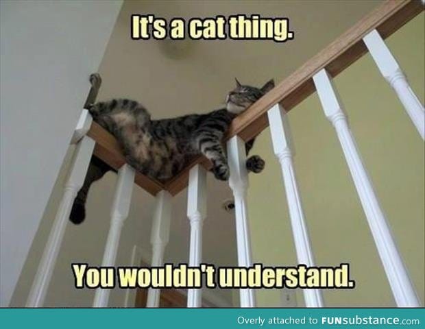 Cat logic