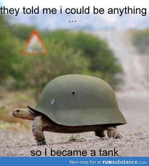 Warturtle