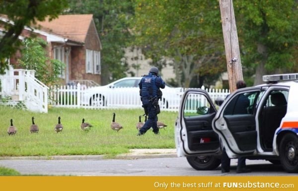 Canadian police don't use dogs?