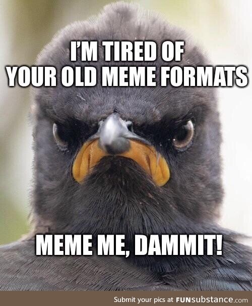 Angrybirb demands meme status