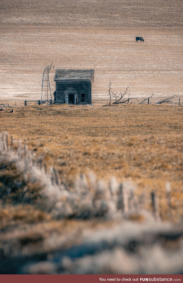 An abandoned farm house in Roosevelt WA. [OC]