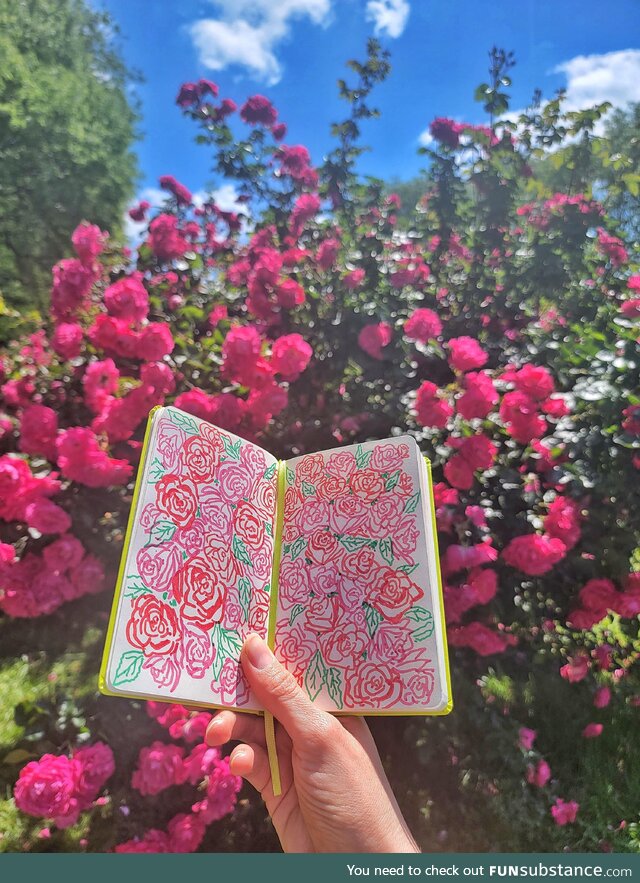 Stopped to sketch the roses [OC]