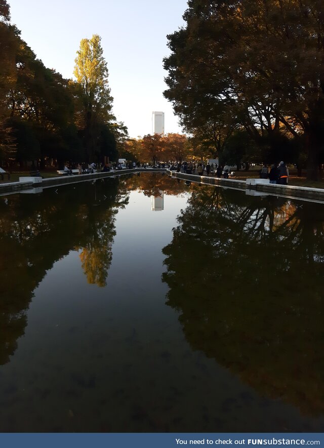 Autumn Reflection in Yoyogi Park, Tokyo (Nov. 6th 2022)