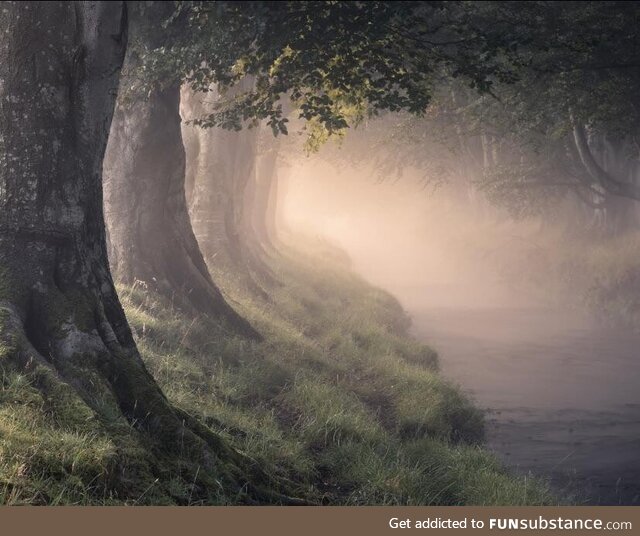 'Morning Glory'. Taken in Northern Ireland, during a Misty sunrise