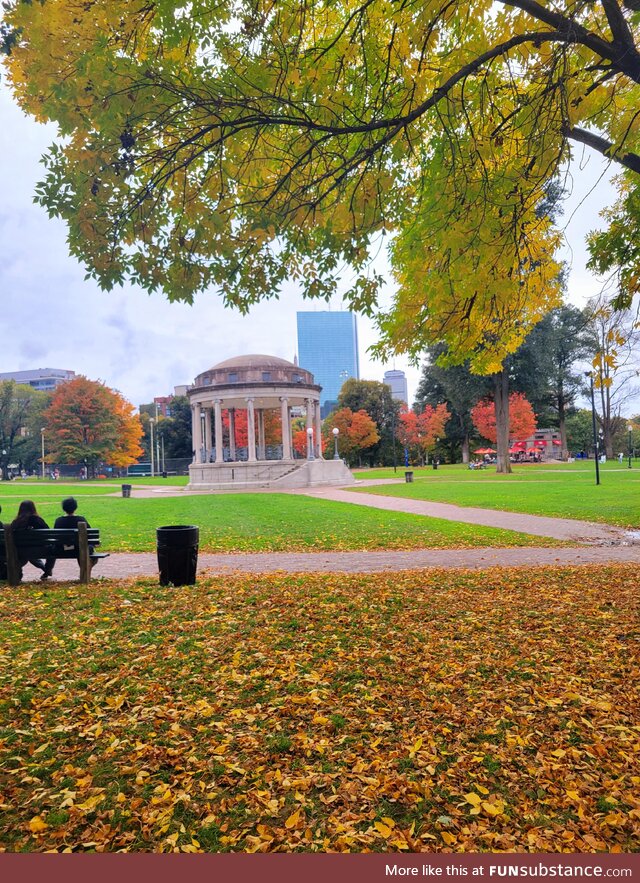 Autumn in Boston, Massachusetts. The best time of the year here