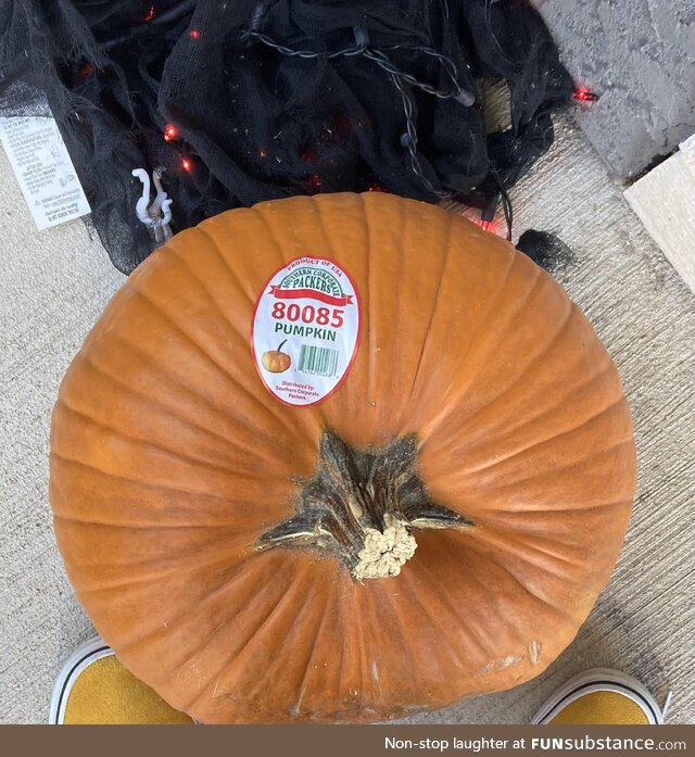 Boobs pumpkin