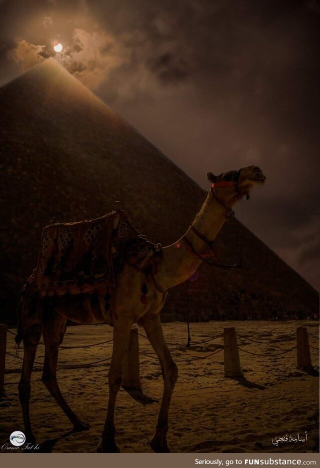 The Eclipse above the great pyramid of Giza