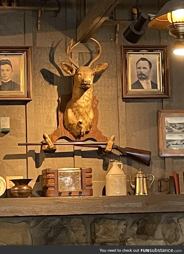 This judgmental deer at Cracker Barrel