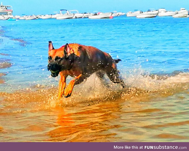 Play time on the beach