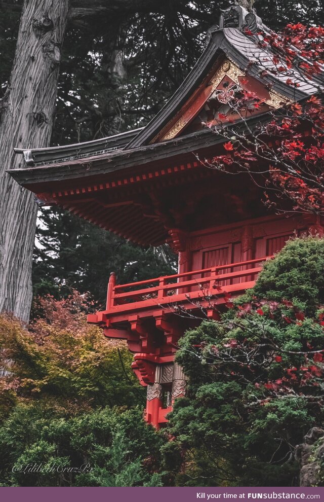 Japanese tea garden, san francisco, ca