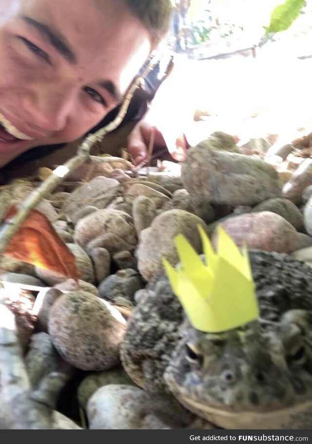 I found a toad in my backyard and gave it a crown! He looks happy