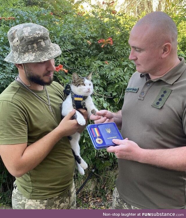 Ukrainian cat receives a “Golden Heart” medal [828x929]