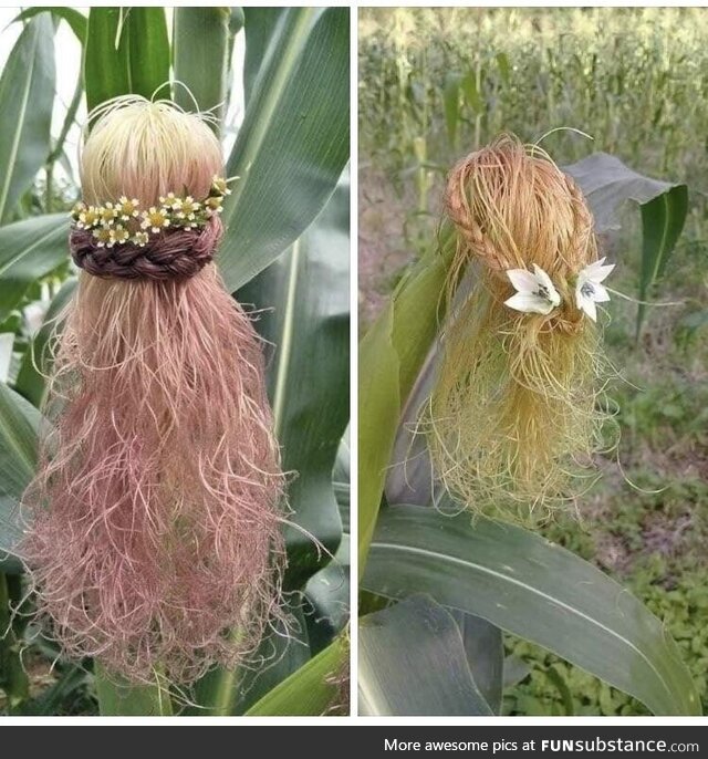 Fancy corn hair