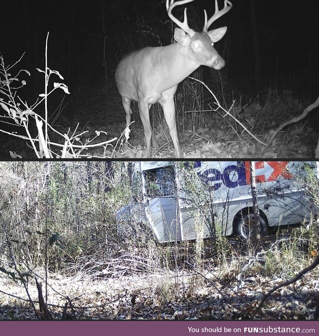 Trail camera caught a fedex driver using an atv trail through the woods as a shortcut