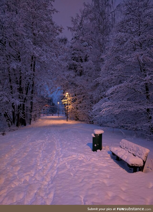 Calm and silent January morning in Finland [OC]