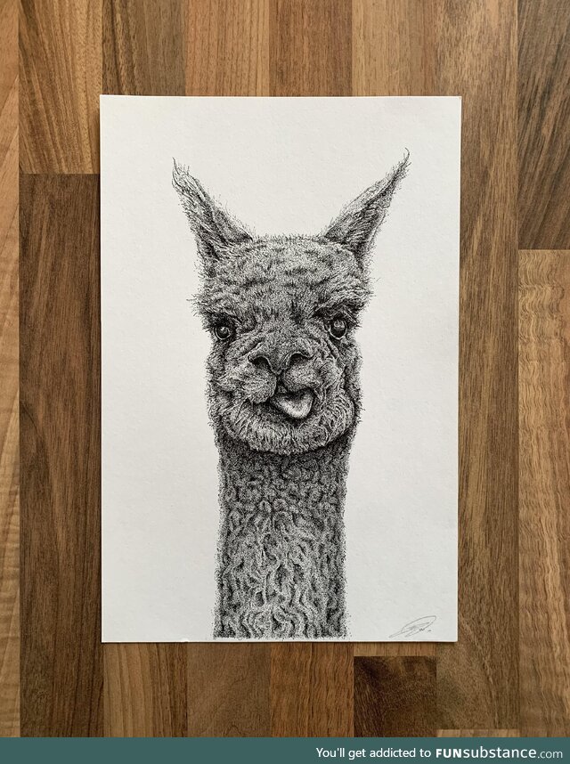 Alpaca stippling art