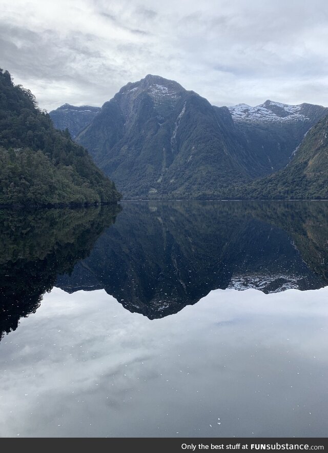 Taking in the scenery on Doubtful Sound, NZ [OC]