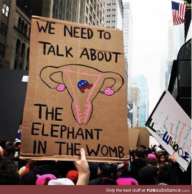 Sign held during Women’s March protest, NYC, 2017