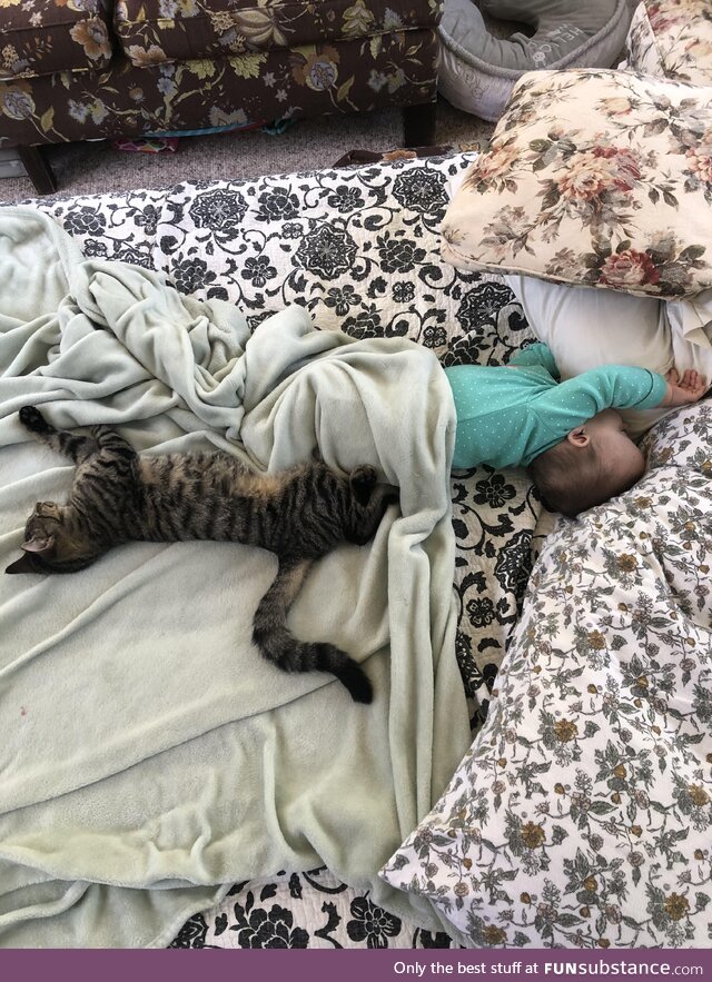 They are both 7 months old and sleep in the same position