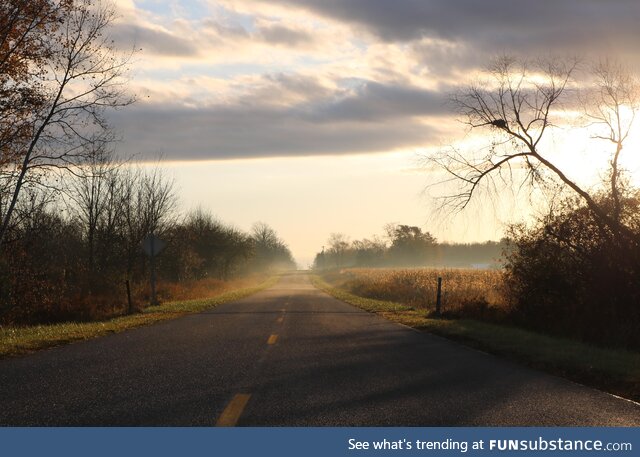 Misty michigan morning sun