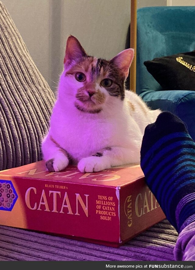 Settler of Catan