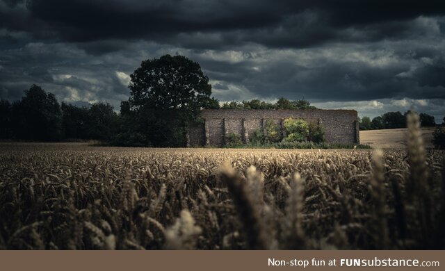 An old firing range now sits in a field of gold