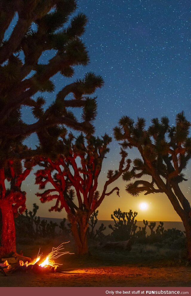 Moonset in the Mojave!