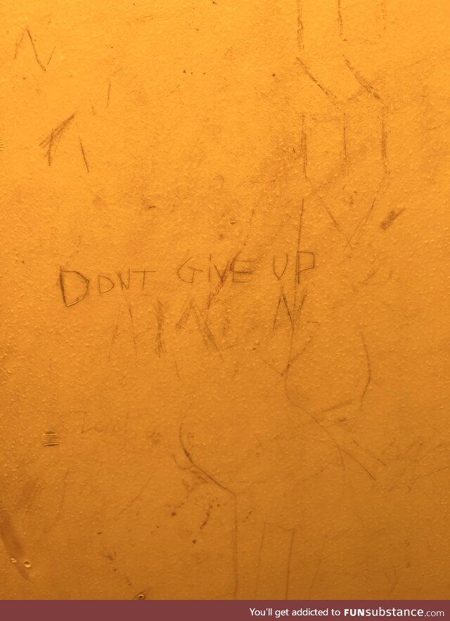 Words of wisdom from inside a port-o-potty