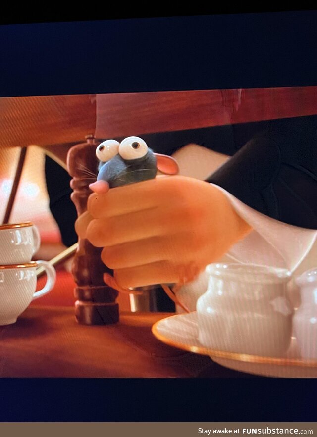 Just paused ratatouille at the wrong moment