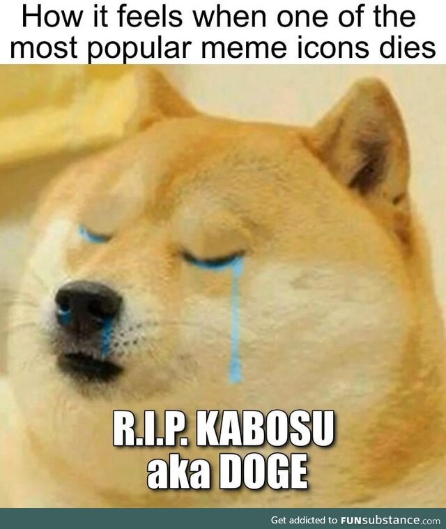 Such Sad. Much Tears