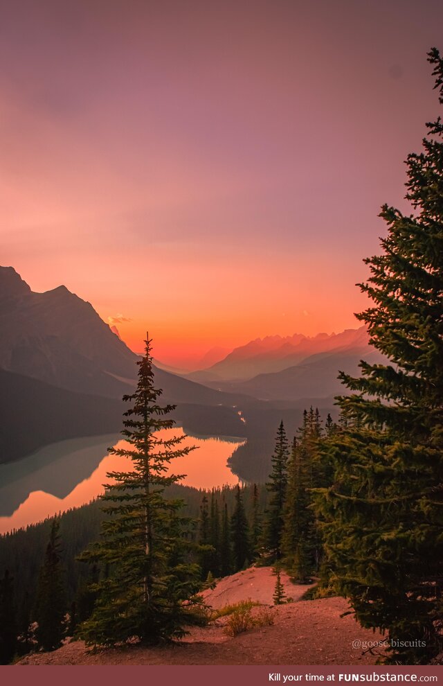 Setting Sun at Peyto Lake