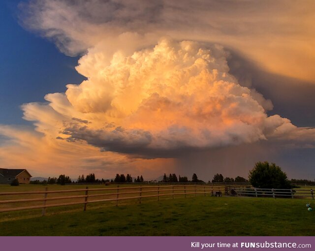 [OC] Thunder cloud in Montana today