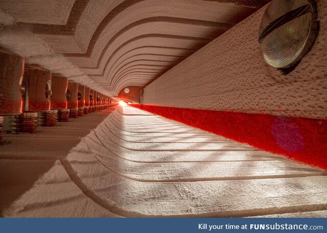 Inside a Steinway Grand Piano