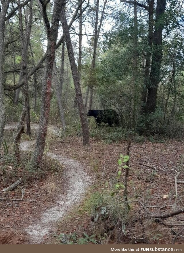 Mountain biking in Central Florida when…