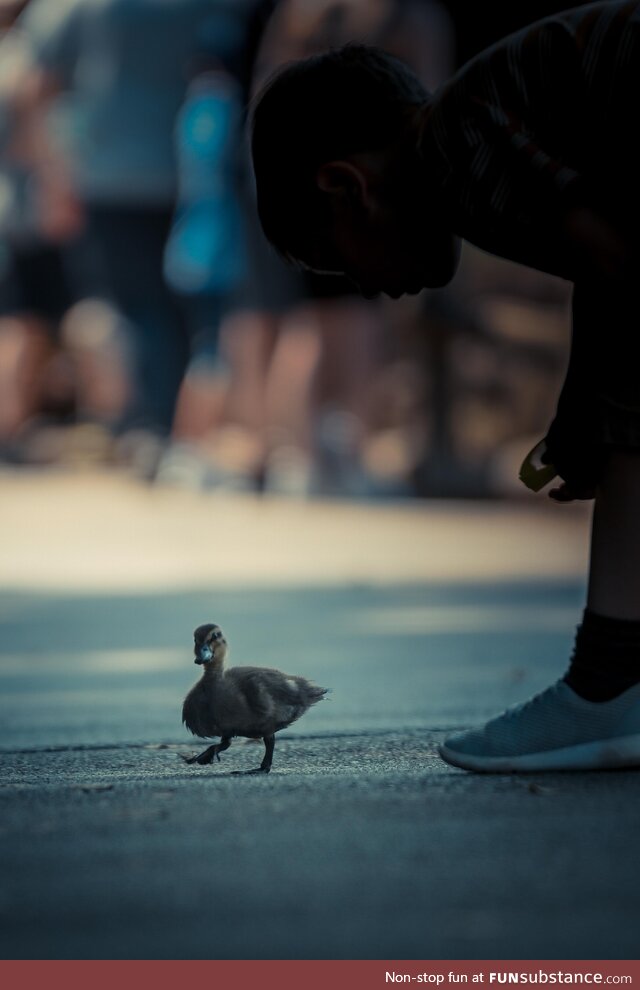 A child curiosity