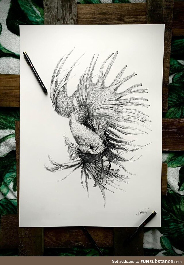 Fighter fish stippling art, zoom in